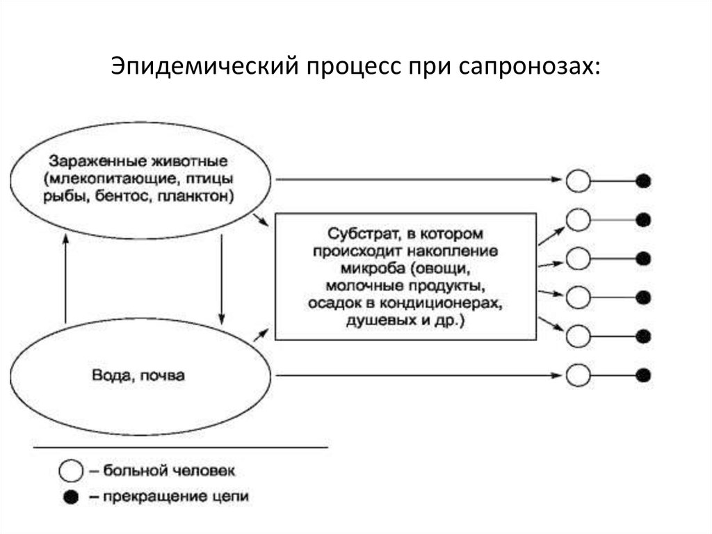 Эпидемический процесс и меры воздействия схема