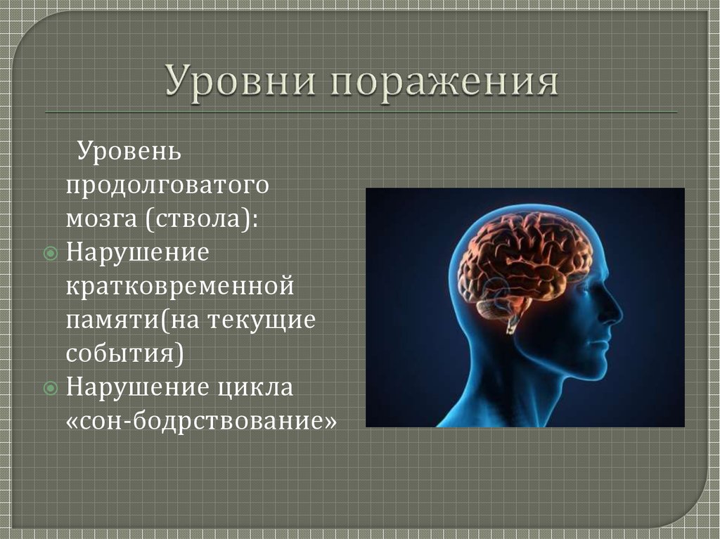 Кто разработал нейропсихологические методы исследования детей под руководством а р лурия 1902 1977