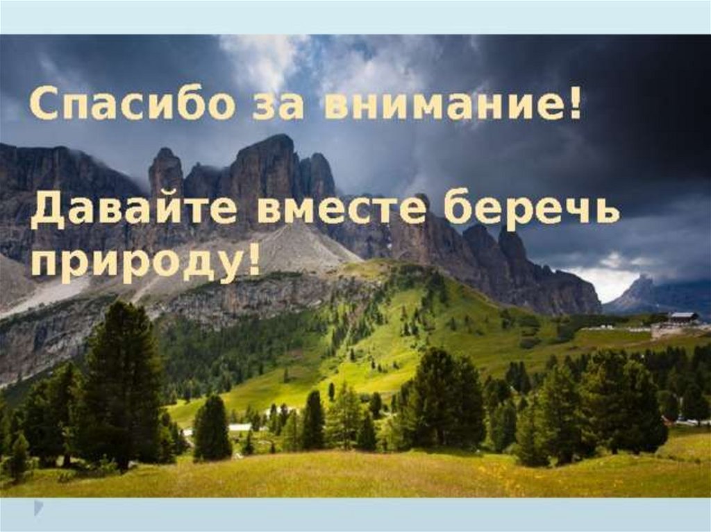 Спасибо за внимание берегите природу картинки для презентации