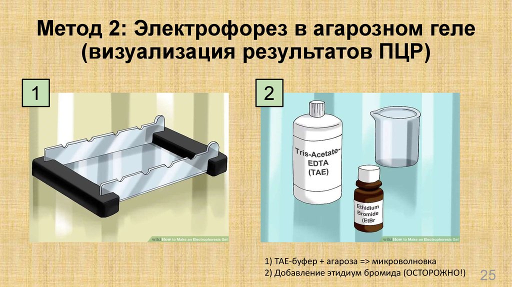 5 растворов электрофореза. Агарозный гель-электрофорез. Прибор для электрофореза в агарозном геле. Электрофорез нуклеиновых кислот в агарозном геле. Метод гель электрофореза.