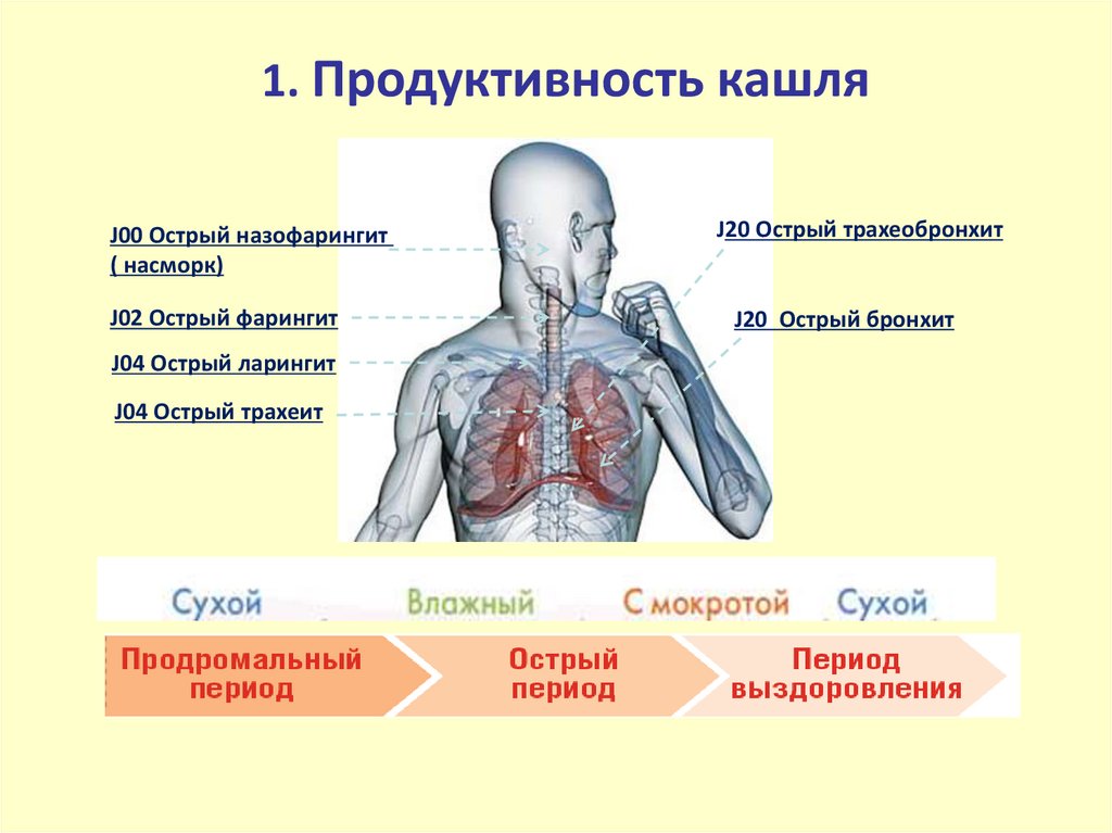 Трахеит клинические рекомендации