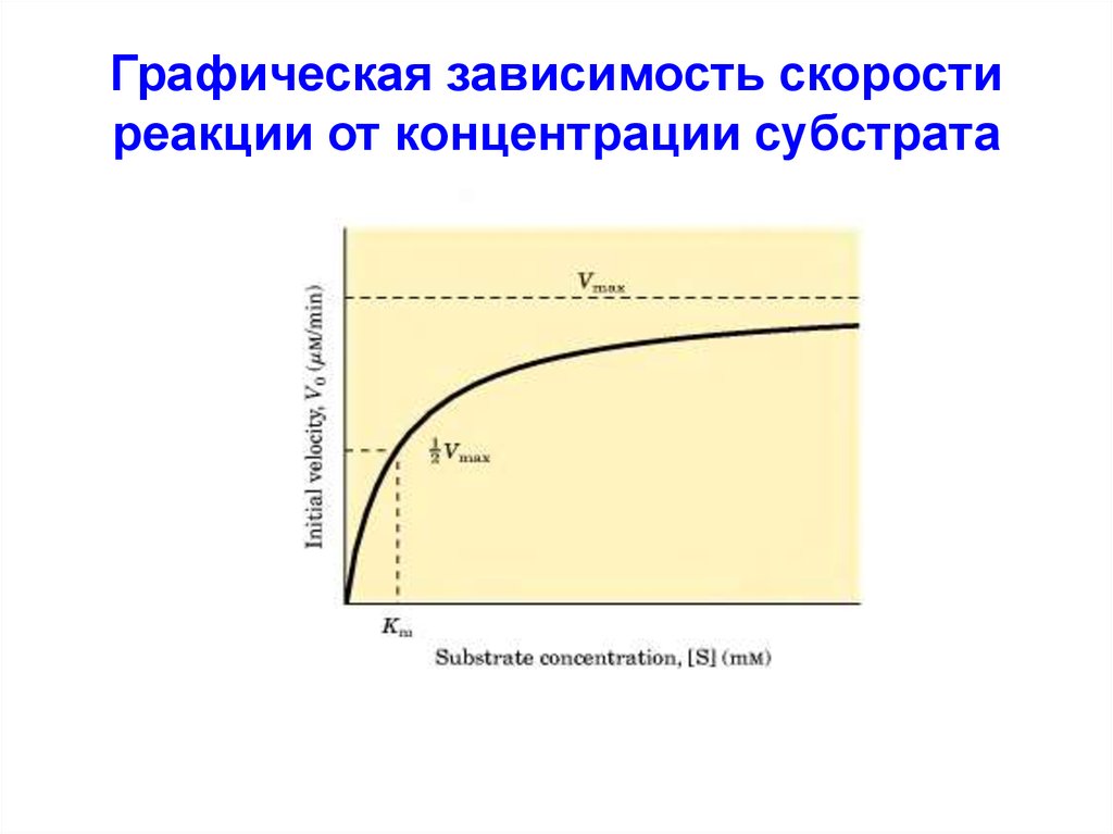 Зависимость активности от концентрации. Графическая зависимость. Графическая зависимость скорости реакции от концентрации. График зависимости скорости от концентрации субстрата. Зависимость скорости реакции от концентрации субстрата.