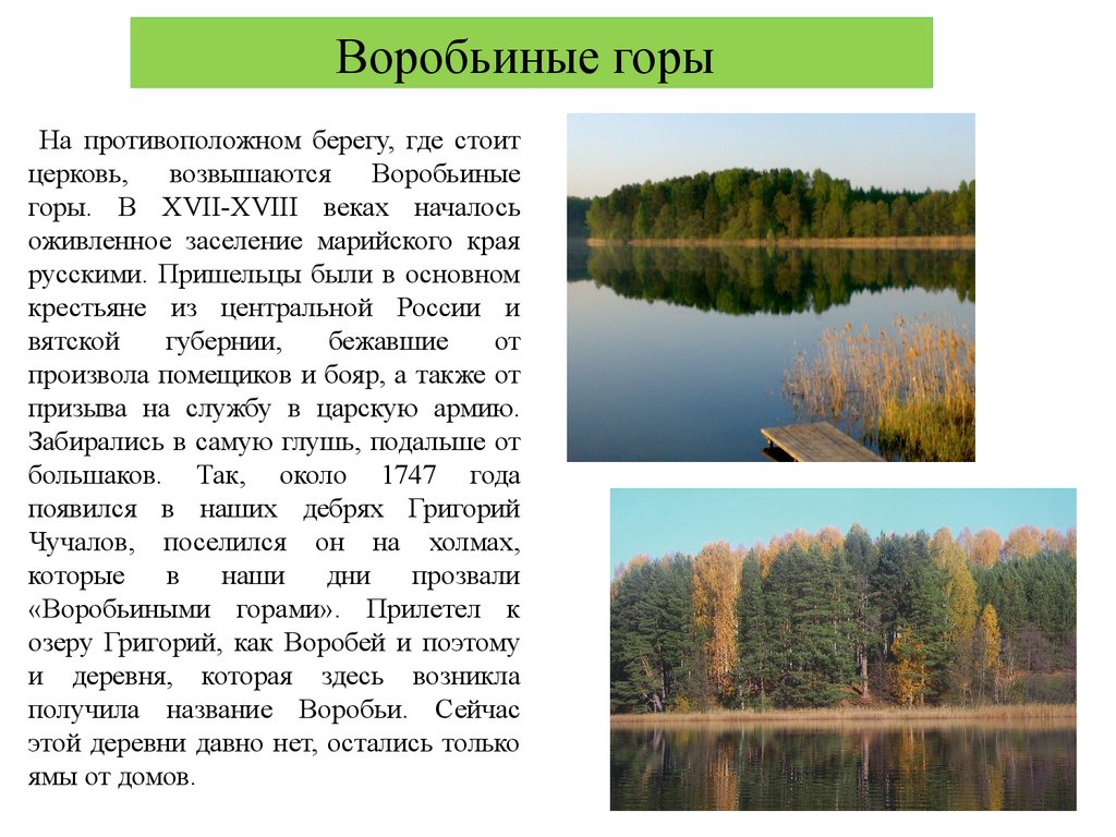 На противоположном берегу. Воробьиное озеро Ленинградская область.