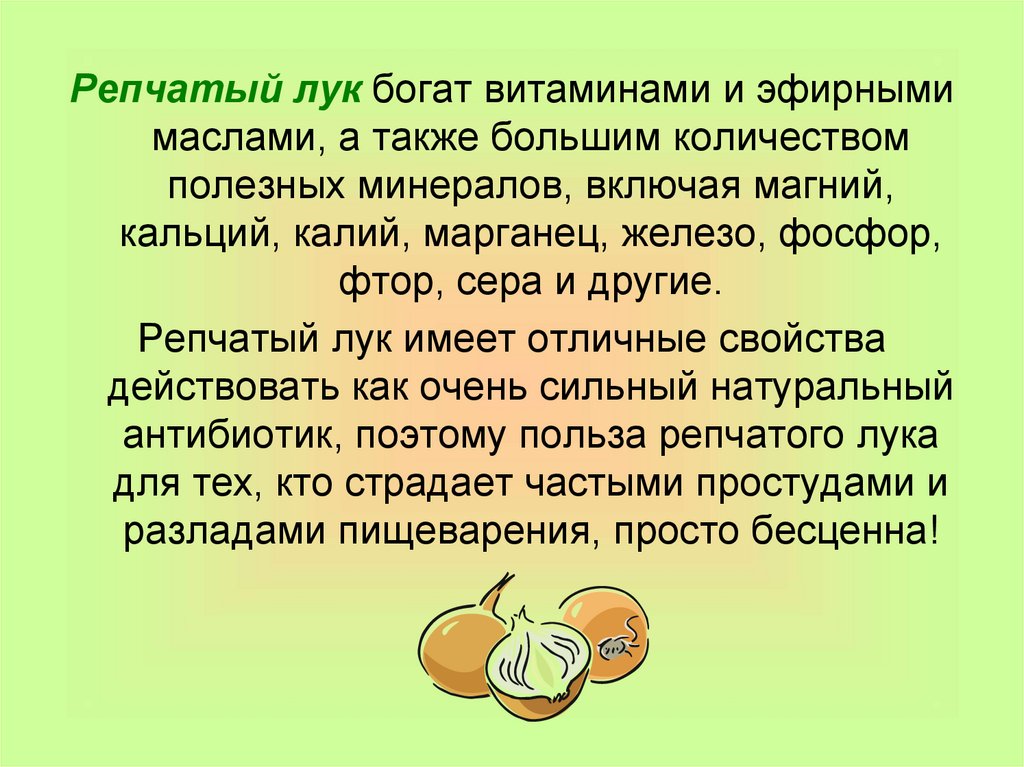 Польза репчатого. Витамины с грядки презентация. Витамины с грядки презентация для детей. Полезные свойства лука репчатого. Лук репчатый витамины.