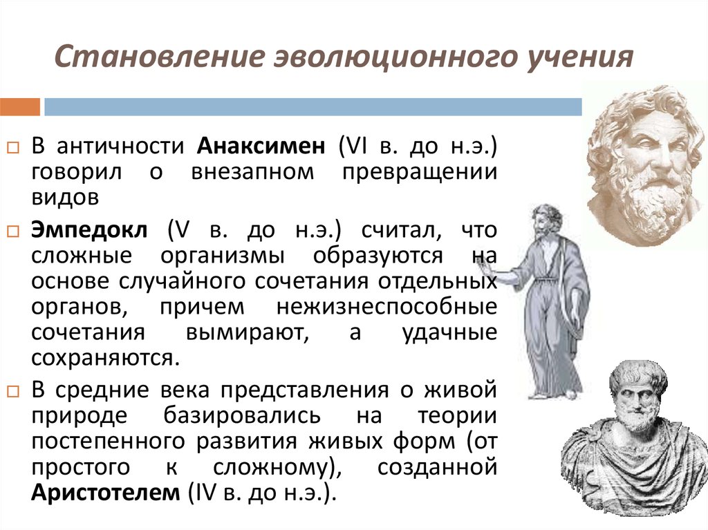 Какие эволюционные идеи сложились в античное время