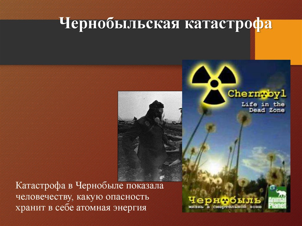 Катастрофа в Чернобыле показала человечеству, какую опасность хранит в себе атомная энергия