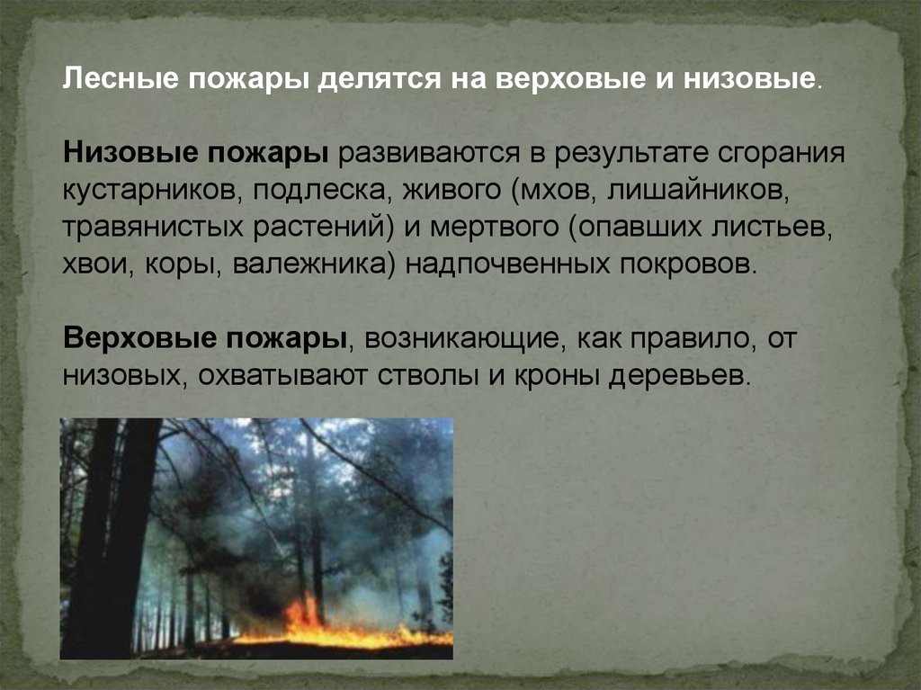 Природные чс делятся на. Лесные пожары делятся на. Природные пожары ЧС природного характера. Лесные пожары низовые и верховые. Сообщение о ЧС природы.