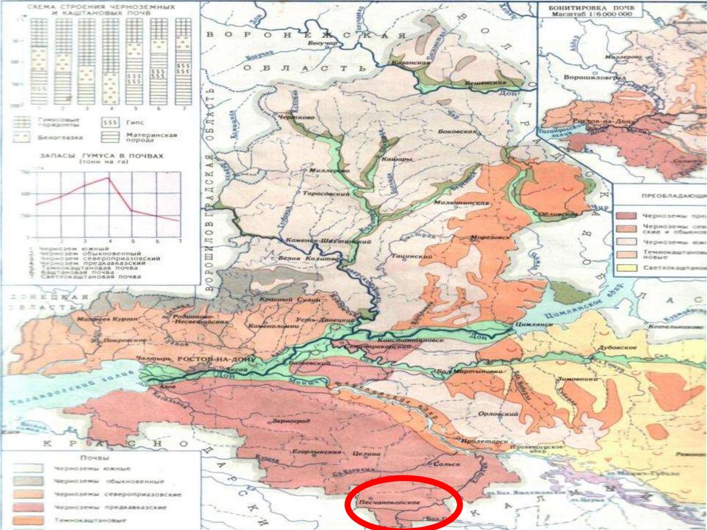 Карта осадков рп5 село песчанокопское ростовской области