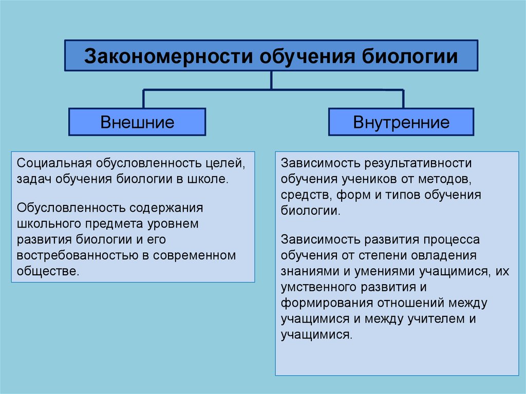 Виды закономерностей. Закономерности и принципы методики обучения биологии. Внутренние закономерности обучения. Внешние и внутренние закономерности обучения. Закономерности обучения и принципы обучения.