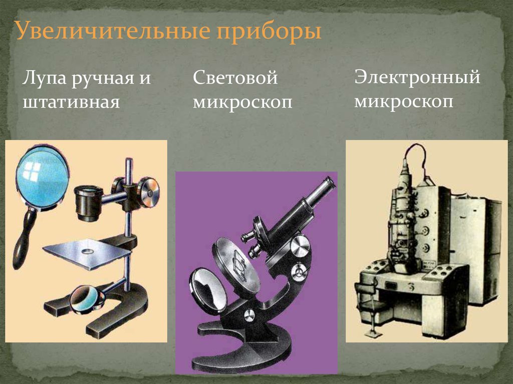 Использующиеся приборы. Увеличительные приборы лупа и микроскоп 5 класс. Световой микроскоп это увеличительный прибор?. Современные увеличительные приборы в биологии 5 класс. Увеличительный прибор в микроскопе.