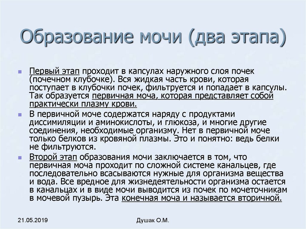 Два этапа. Образование мочи. Два этапа образования мочи. 2 Фаза образования мочи. Образования мочи 1 фаза 2 фаза.