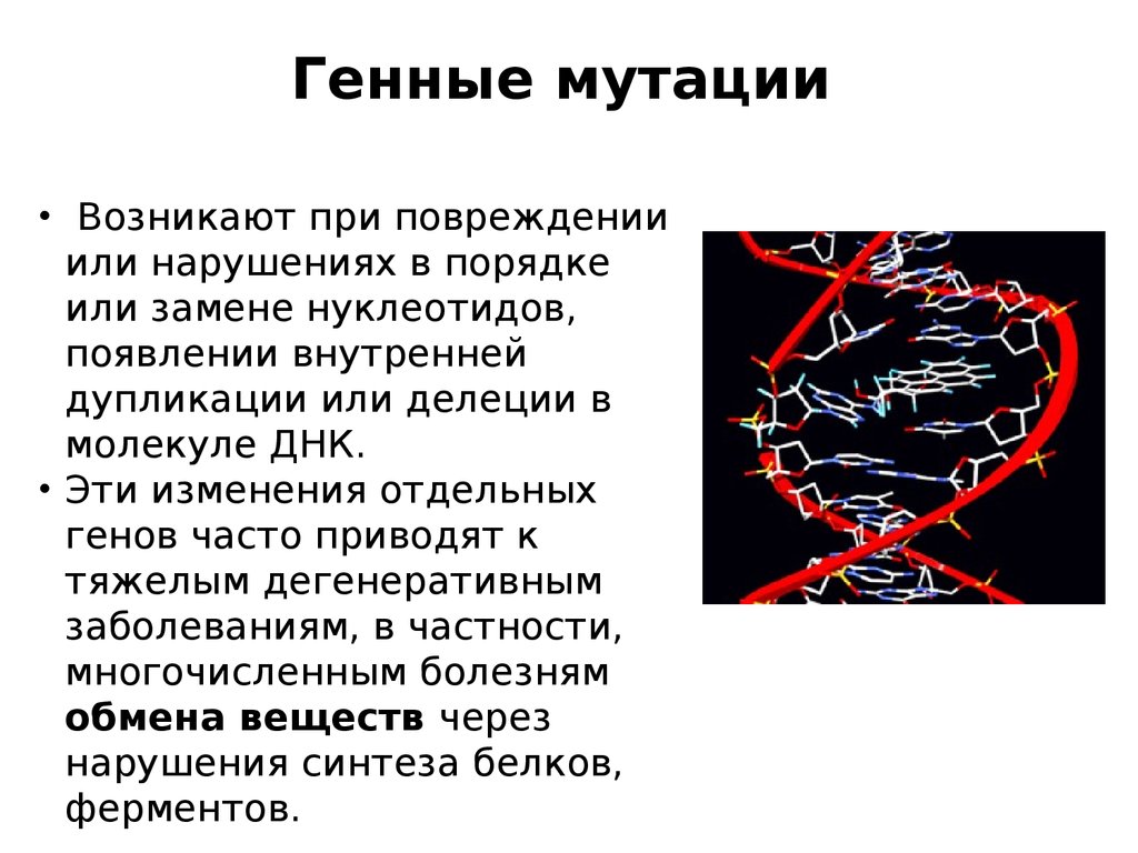 Генные мутации это. Генные мутации приводят. Генные мутации сообщение. Генные мутации трансгенации. Генные мутации как причина болезней обмена веществ.