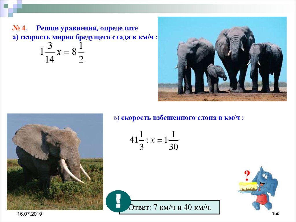 С какой скоростью бегает слон. Скорость бега слона. С какой скоростью бегают слоны. Определите по графику скорость слона. С какой скоростью бегают африканские слоны.