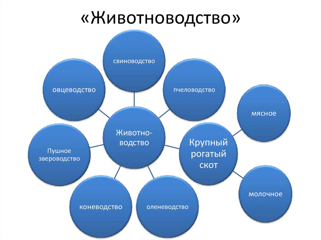 Схема отрасли