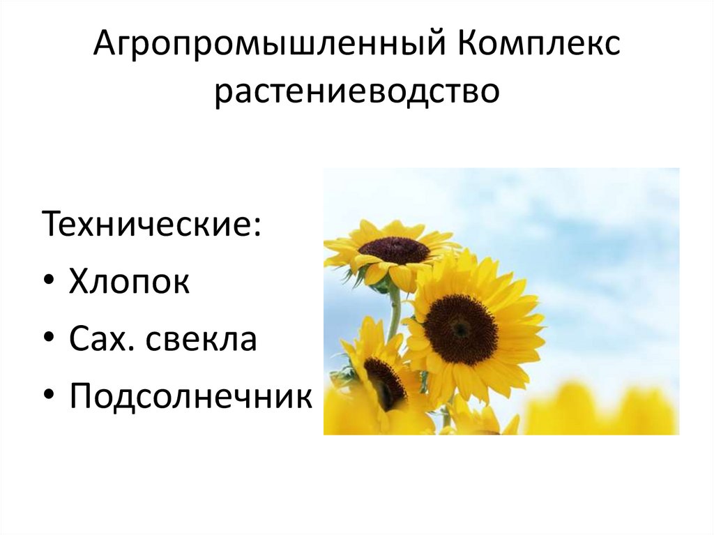 Агропромышленный комплекс растениеводство презентация 10 класс