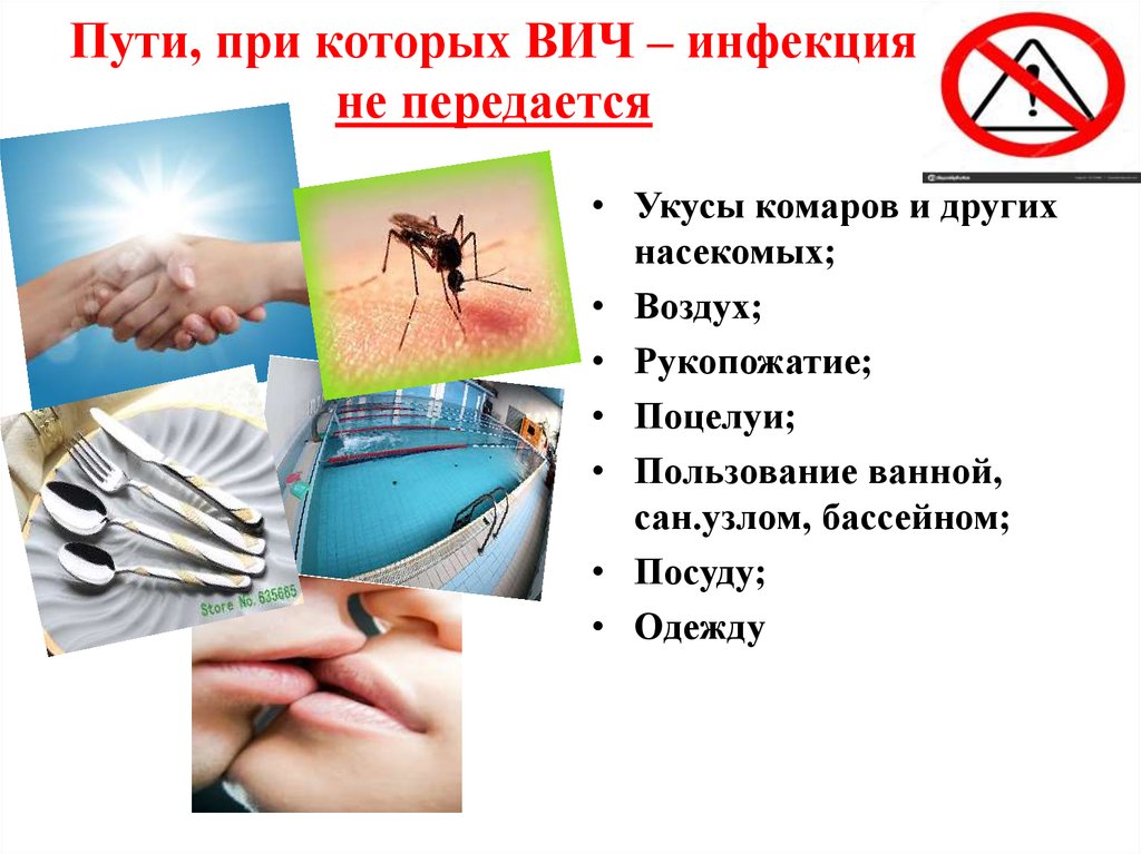 Какие инфекции передаются через укусы кровососущих насекомых. Мифы о СПИДЕ. Пути передачи ВИЧ инфекции.