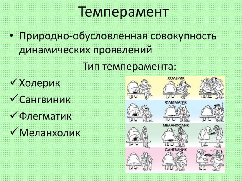 Типы темперамента человека и их характеристика презентация