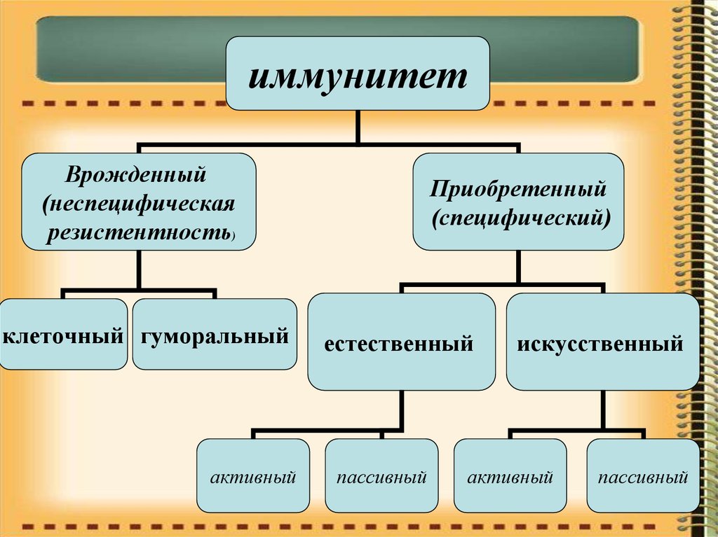 Пассивный иммунитет. Учение об иммунитете. Учение об иммунитете микробиология. Учение об иммунитете презентация. Иммуноглобулин пассивный иммунитет.