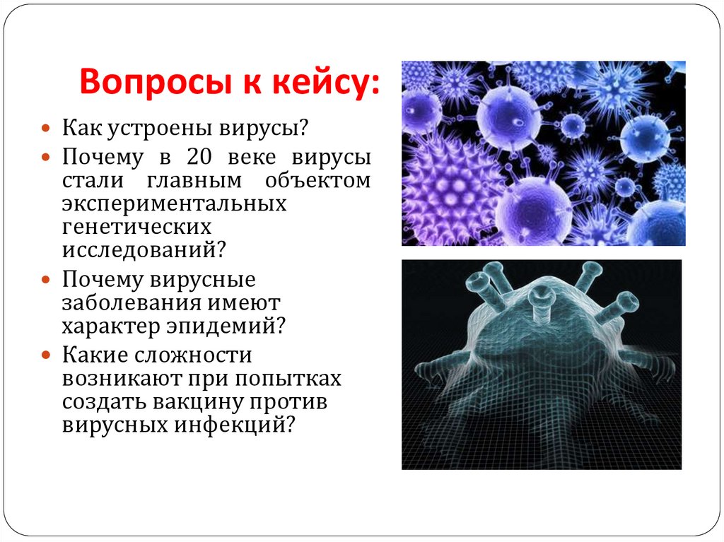 Вирусные инфекции описание