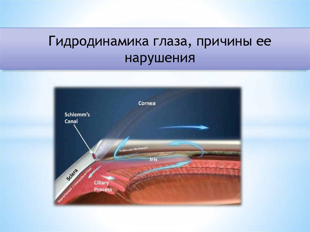 Гидродинамика глаза. Причины нарушения гидродинамики глаза. Гидродинамика глаза причины ее нарушения. Нарушение гемо и гидродинамики глаза.