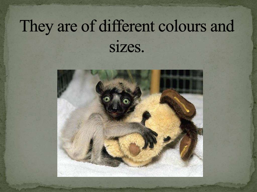 They are of different colours and sizes.