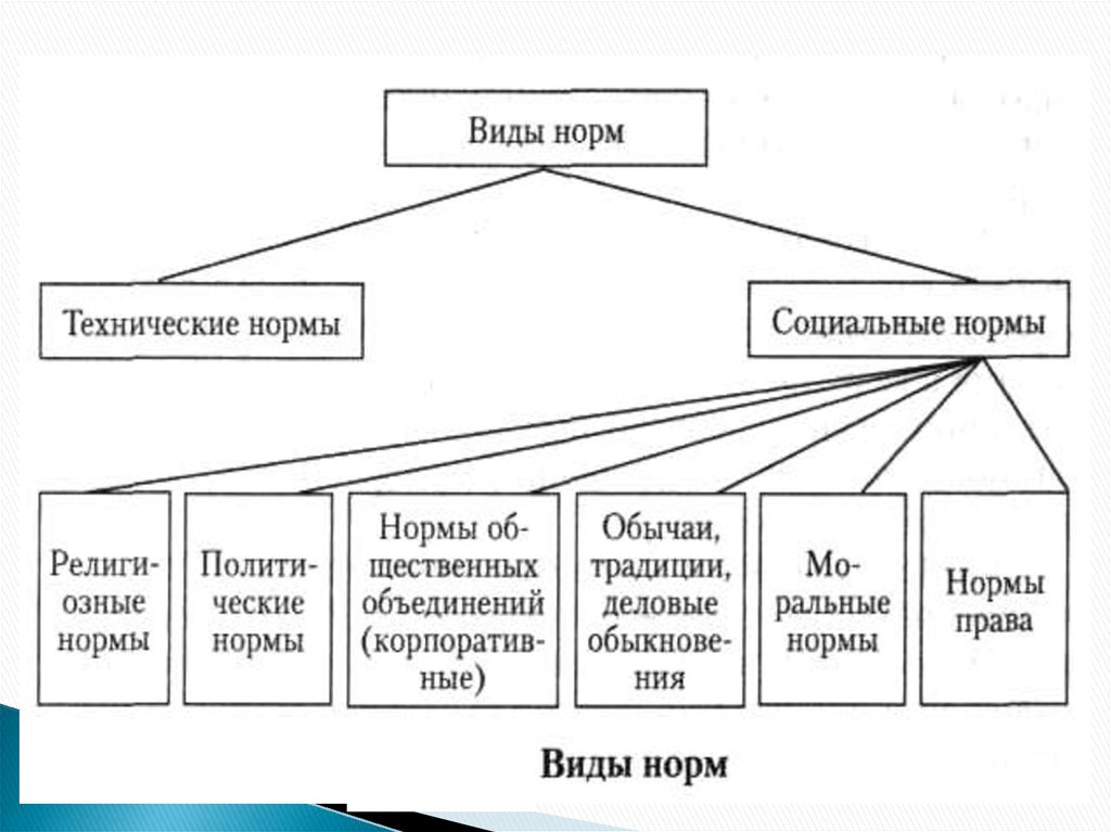 Социальные нормативные управления