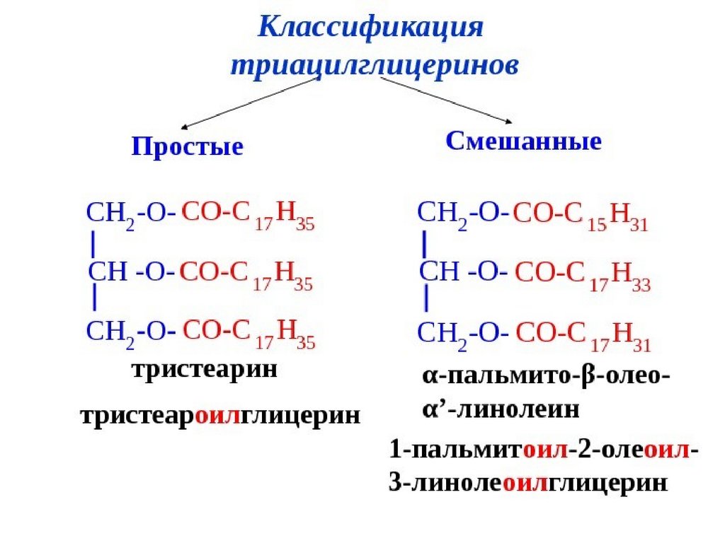 Триглицерид гидрирование. Триацилглицериды номенклатура. Общее строение триацилглицеринов. Структурная формула триацилглицерина. 1-Пальмитоил-2-олеоил-3-линолеоилглицерин.
