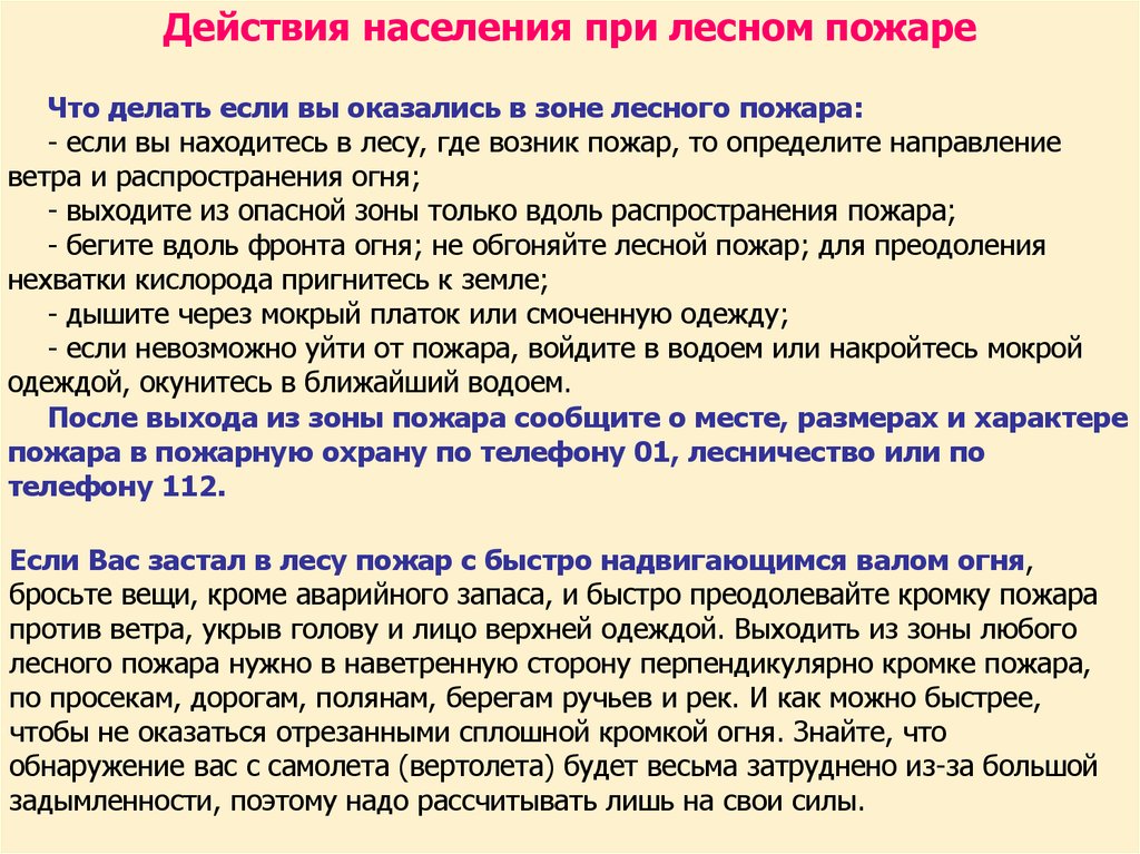 Действия населения при лесных пожарах. Если вы оказались в зоне лесного пожара.