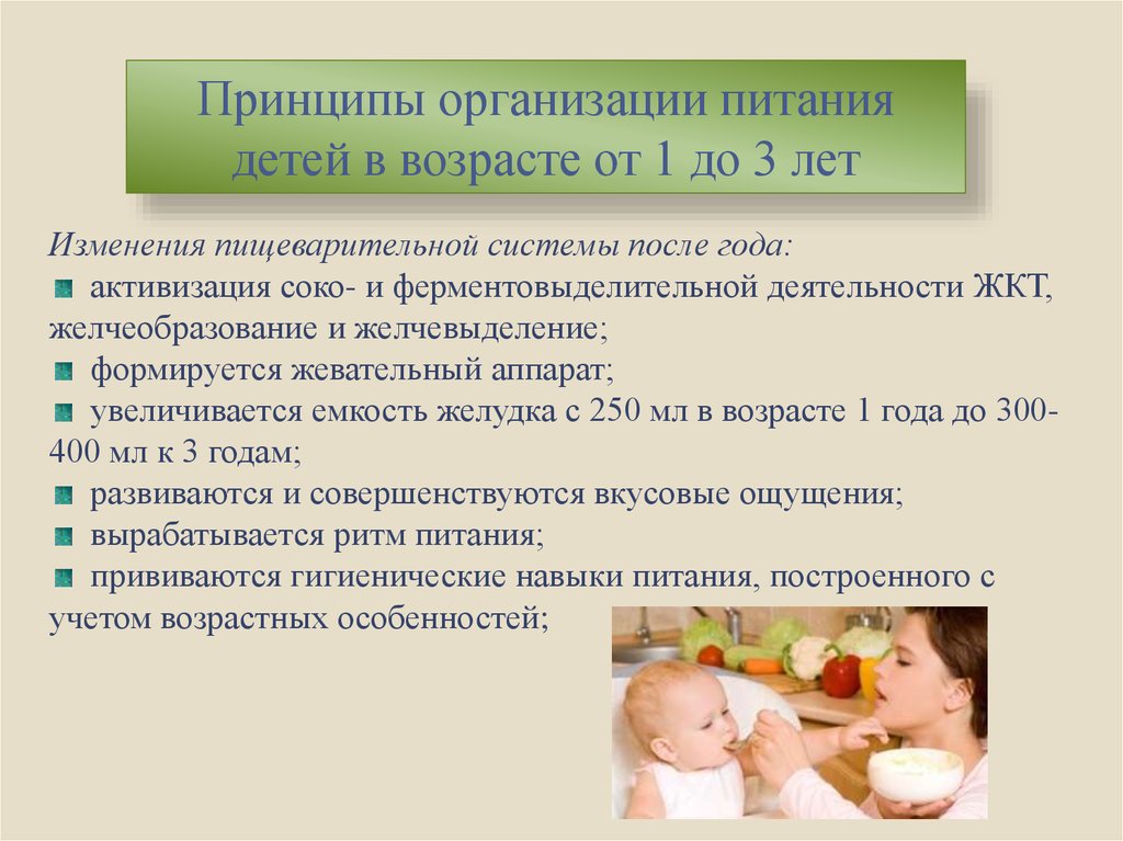 Вскармливание детей до 1 года. Питание детей старше года. Принципы питания детей старше года. Принципы рационального питания детей. Принципы рационального питания детей раннего возраста.