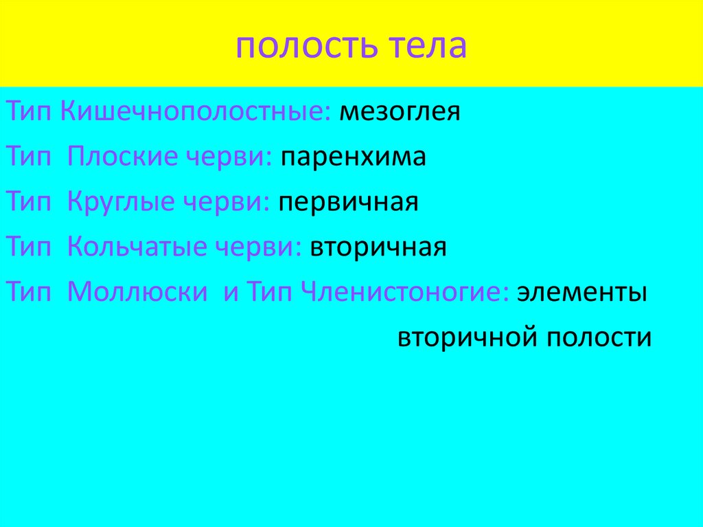 Эволюция полостей тела животных. Полости тела таблица. Полость тела 7 класс. Первичная полость тела у животных. Первичная полость тела у червей.