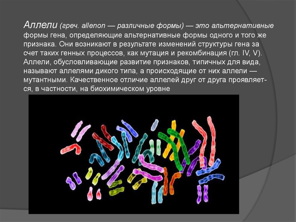 Форма гена называется