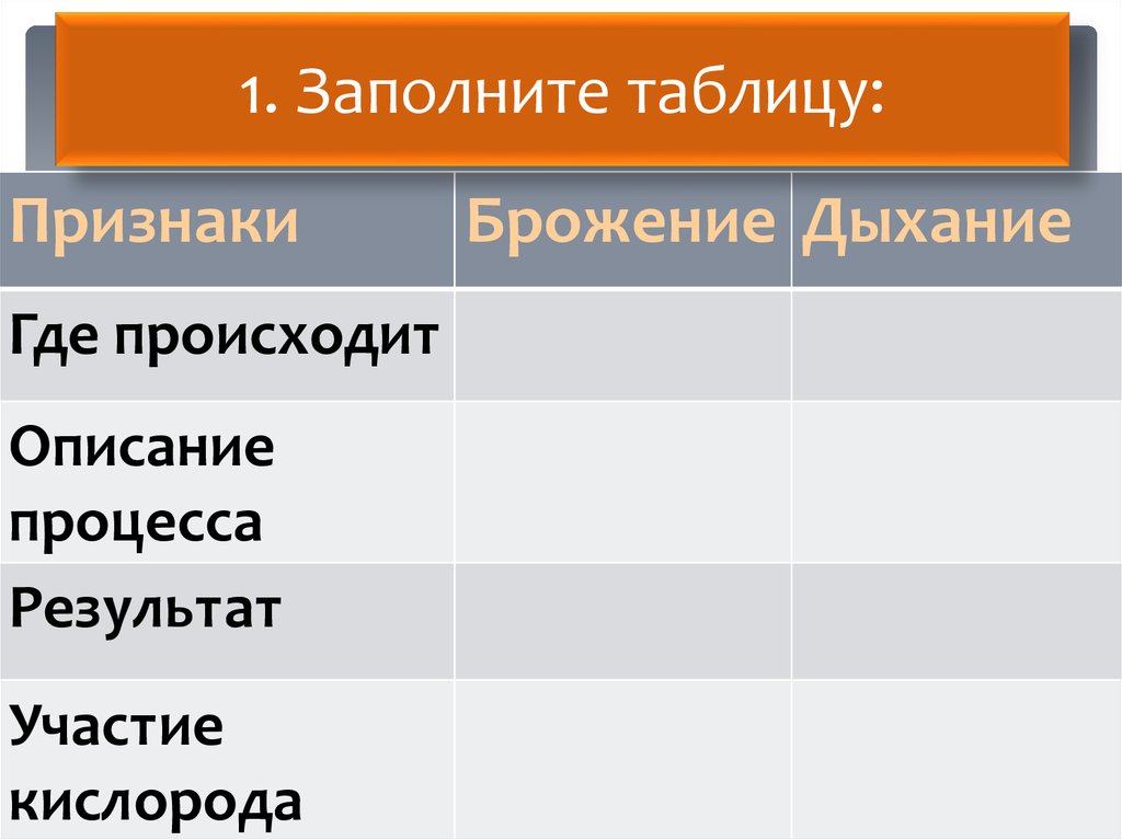 Сравнение брожения и дыхания лабораторная работа