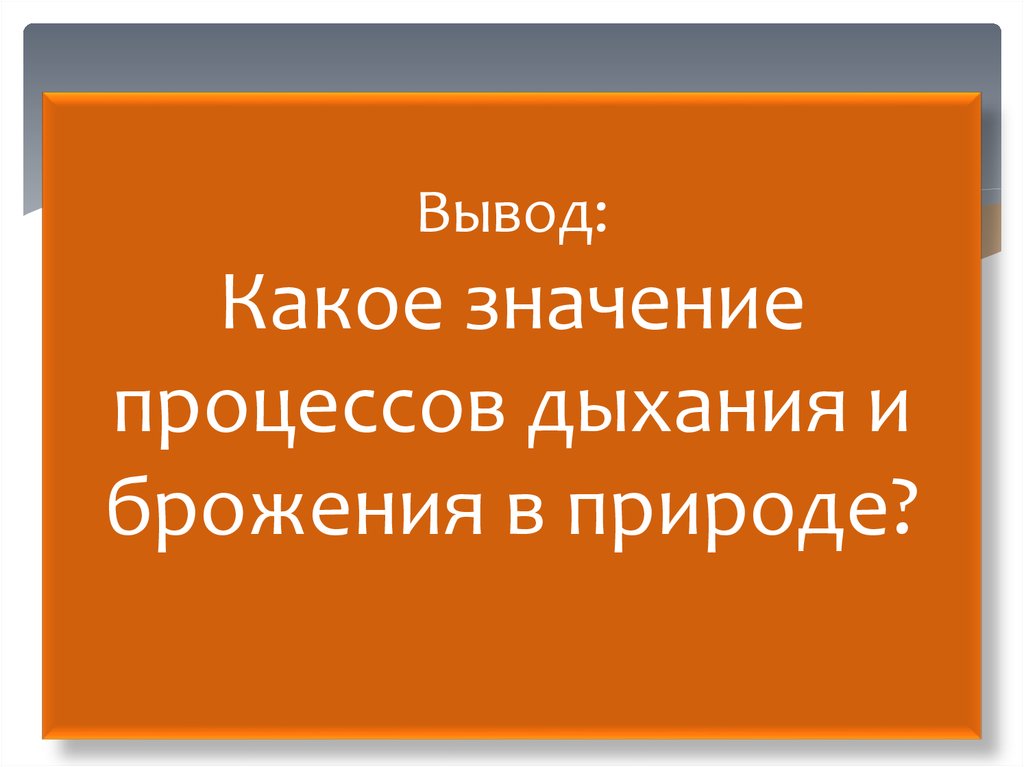 Вывод: Какое значение процессов дыхания и брожения в природе?