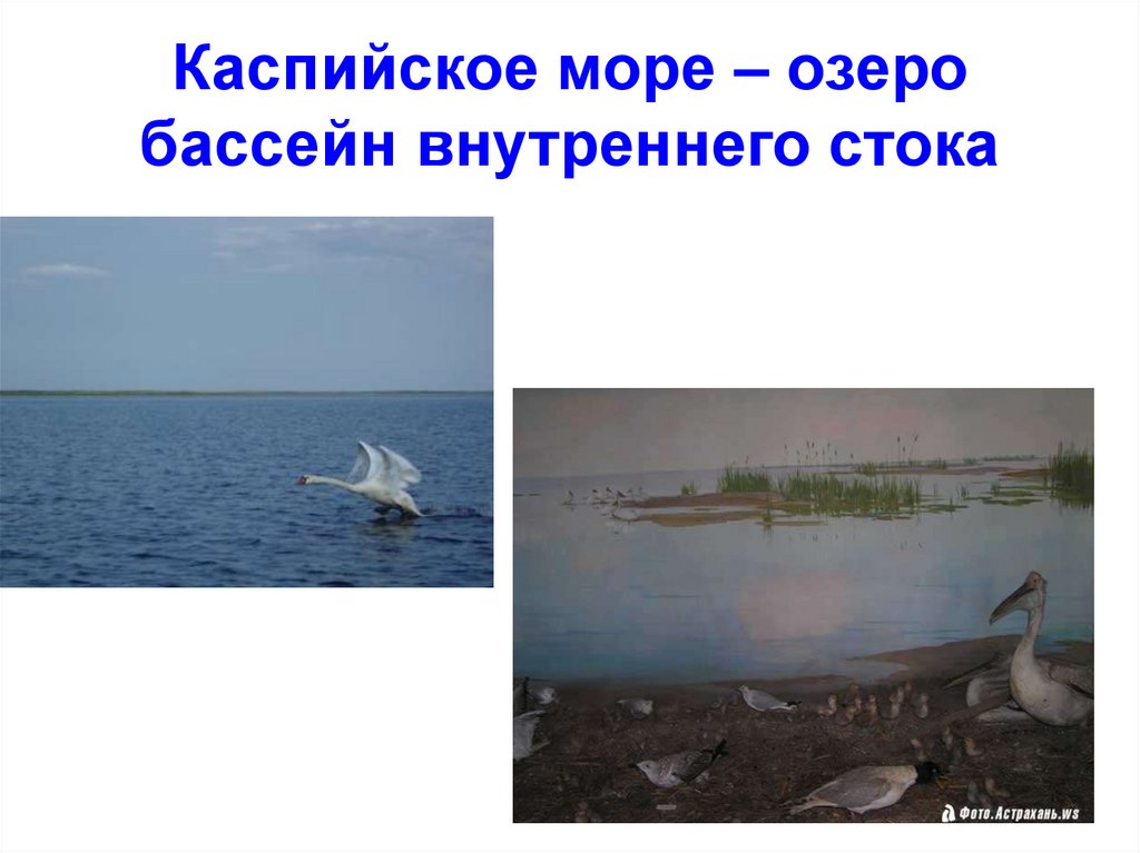 Каспийское море по стоку