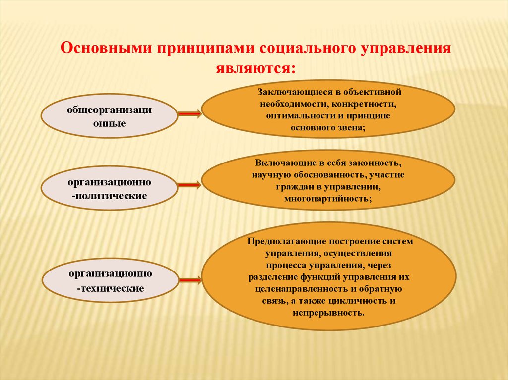 Система принципов социального управления. Функции управления в ОВД. Цели и принципы управления. Цели и основные функции управления в МВД.