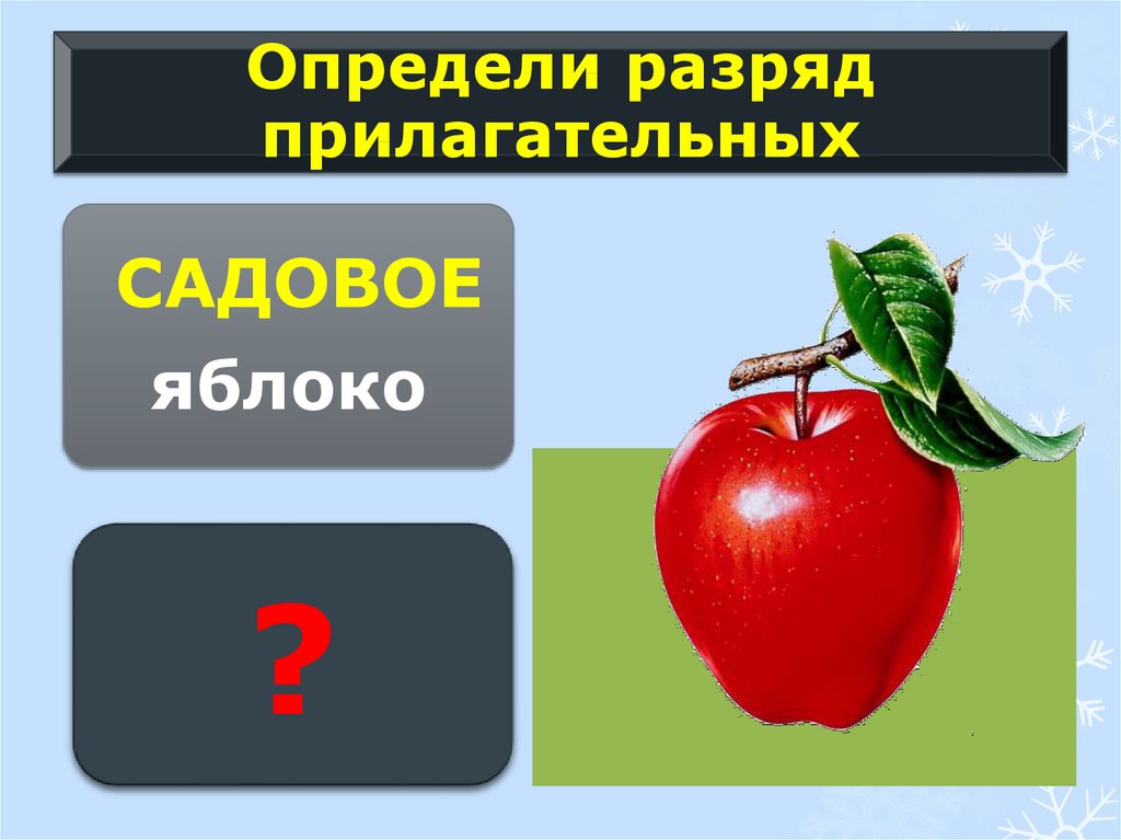 Красное подобрать существительное. Имя прилагательное разряды прилагательных. Садовое яблоко какой разряд прилагательного. Определите разряд прилагательных вкусное яблоко. Сельский пейзаж разряд прилагательного.