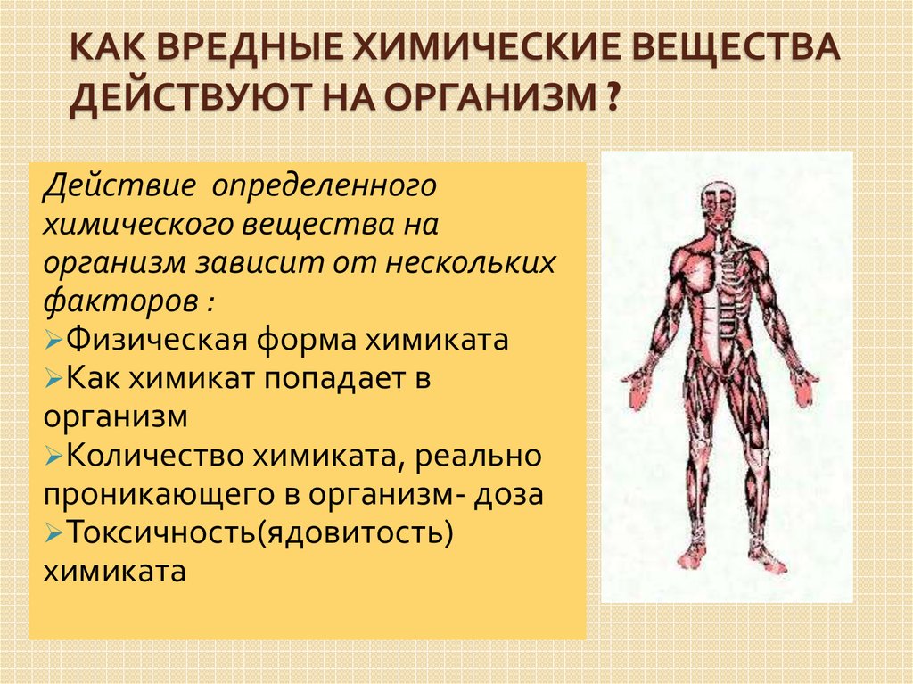 Химические вещества вредные для человека презентация