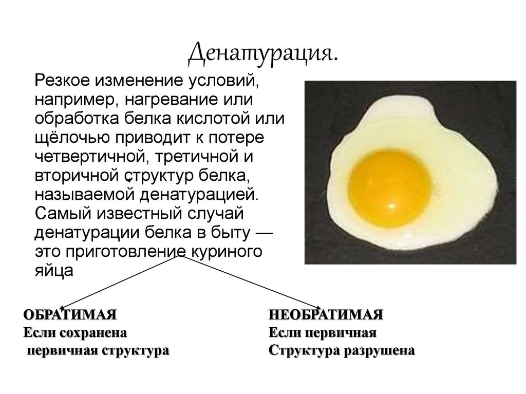 Когда можно белок яйца ребенку. 4 Стадии денатурации белка. Функции денатурации белка. Что такое денатурация белка кратко. Денатурация схема.