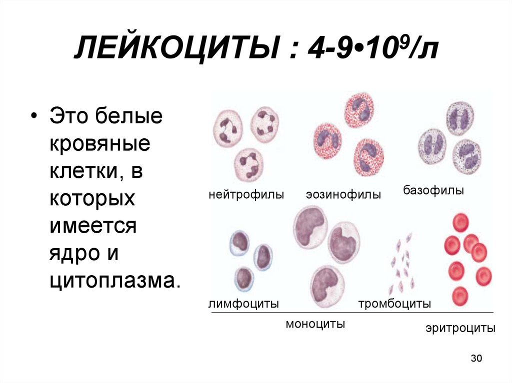 Лейкоциты 10 9 л. Лейкоциты 9.4. Низкие лейкоциты. Эозинофильный лейкоцитоз. Лейкоциты 16-17-18.