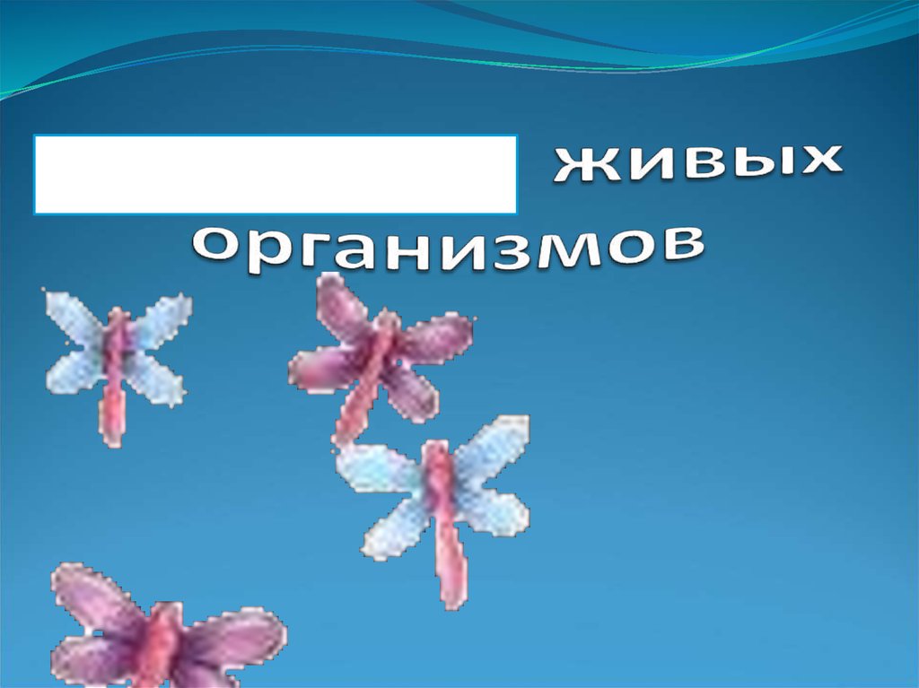 6 организмов