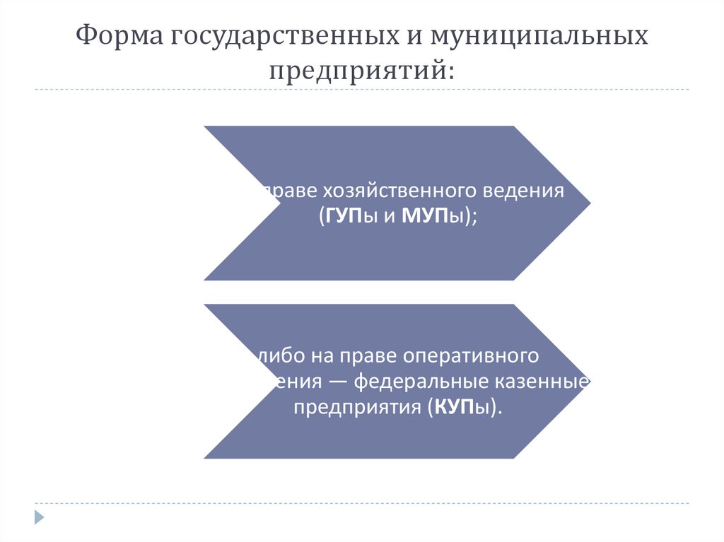 Форма государственных и муниципальных предприятий: