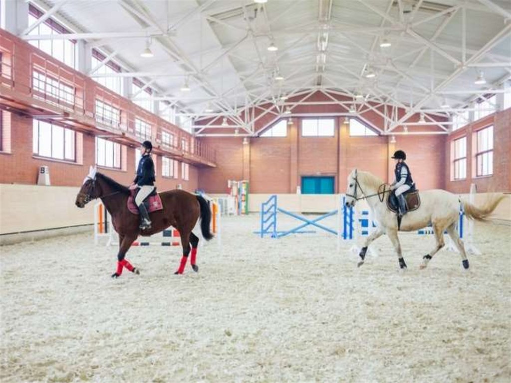 Конный комплекс. Манеж Битца. Конно-спортивный комплекс Бречь. Конно спортивный комплекс Битца план. Битца конно-спортивный комплекс манеж.