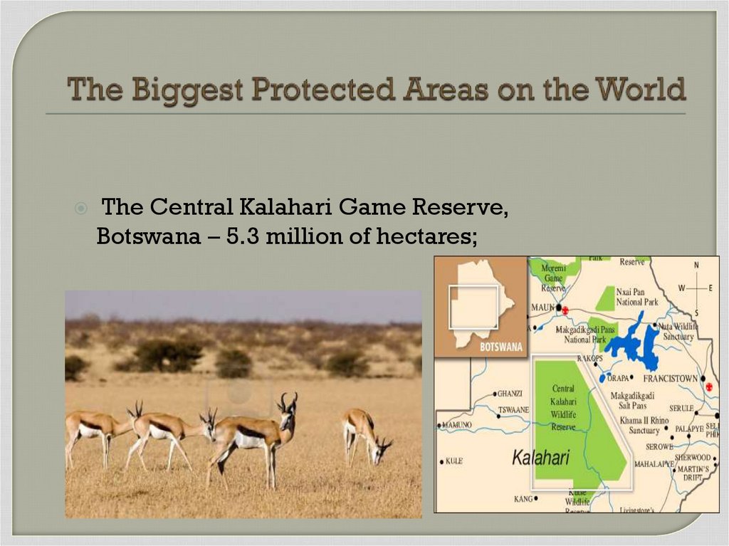 The Biggest Protected Areas on the World