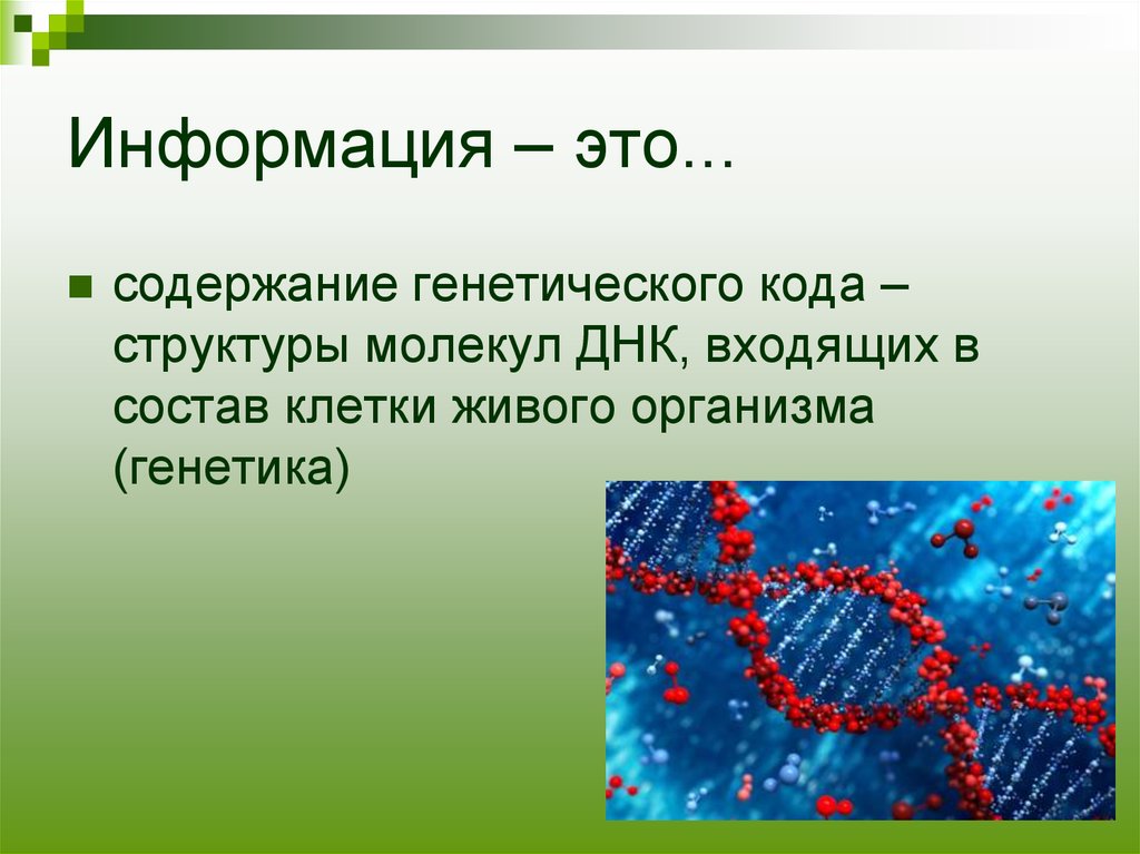 Содержит наследственную информацию. В состав молекулы ДНК входит. В молекулу ДНК входят:. Молекула ДНК В живой клетке это. Информация содержание генетического кода структуры молекул.