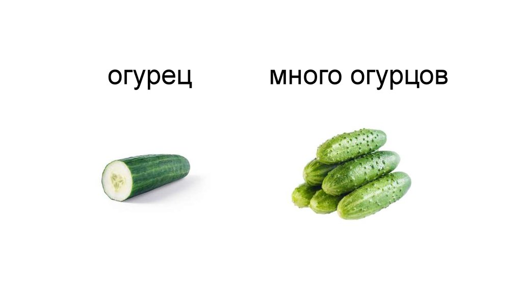 Сон огурцы свежие собирать. Один много овощи. Чего много в огурце. Спящий огурец. Что будет если есть много огурцов.