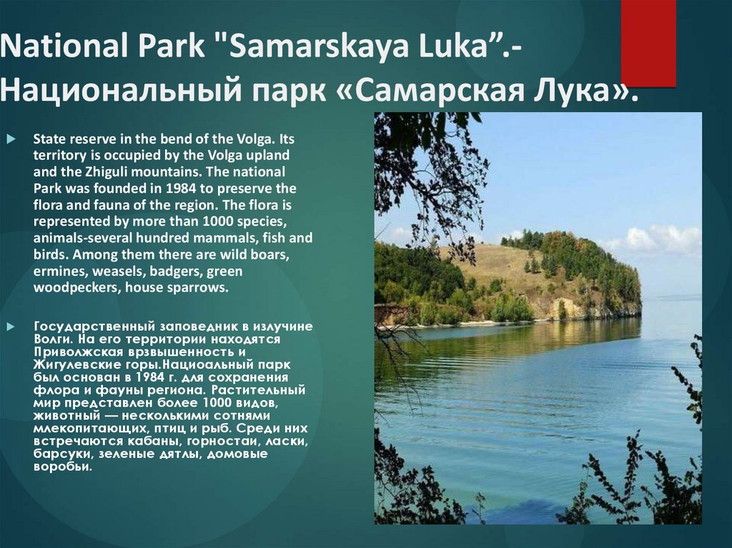 National Park "Samarskaya Luka”.- Национальный парк «Самарская Лука».