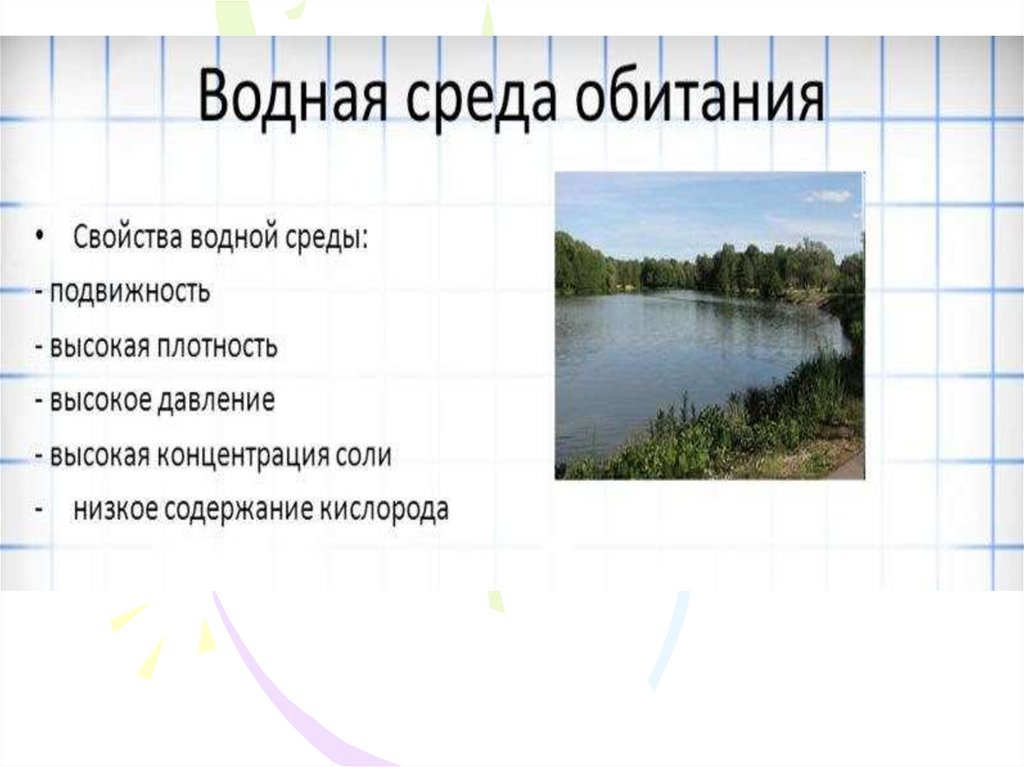 Среда обитания вода презентация