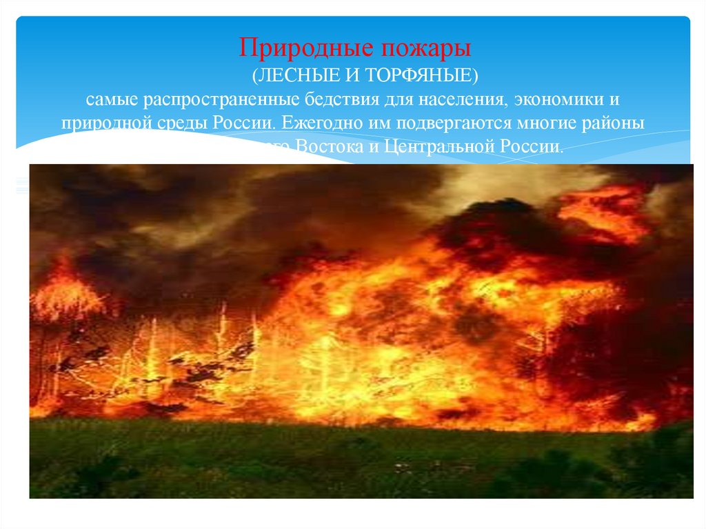 Природные пожары (ЛЕСНЫЕ И ТОРФЯНЫЕ) самые распространенные бедствия для населения, экономики и природной среды России.