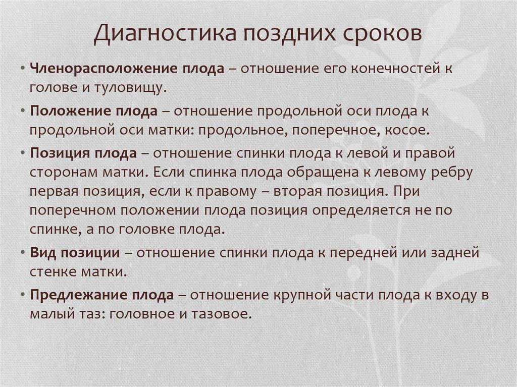 Срок диагностики