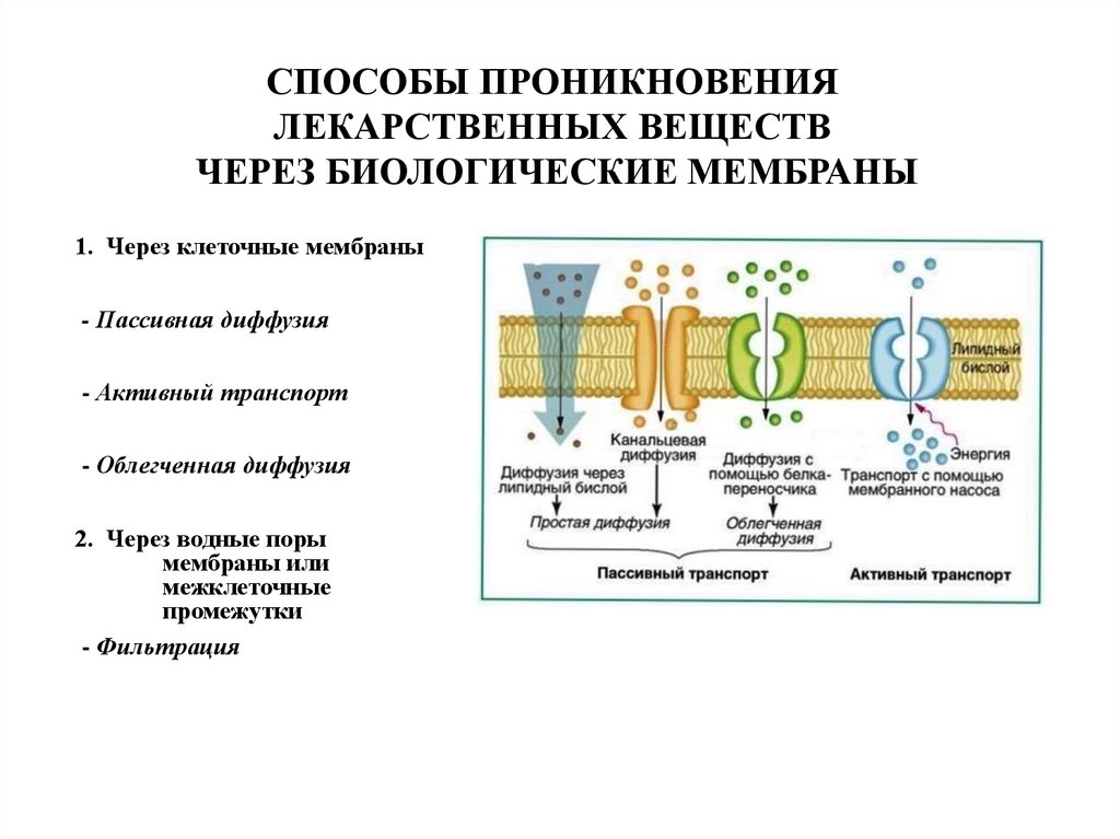 Способ проникновение